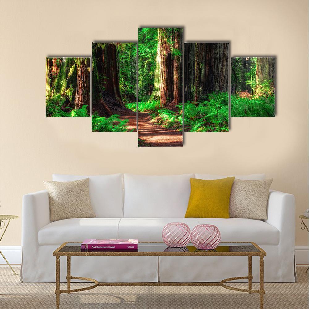 Scenic Path Through The Redwoods Forest Canvas Wall Art-4 Pop-Gallery Wrap-34" x 20"-Tiaracle
