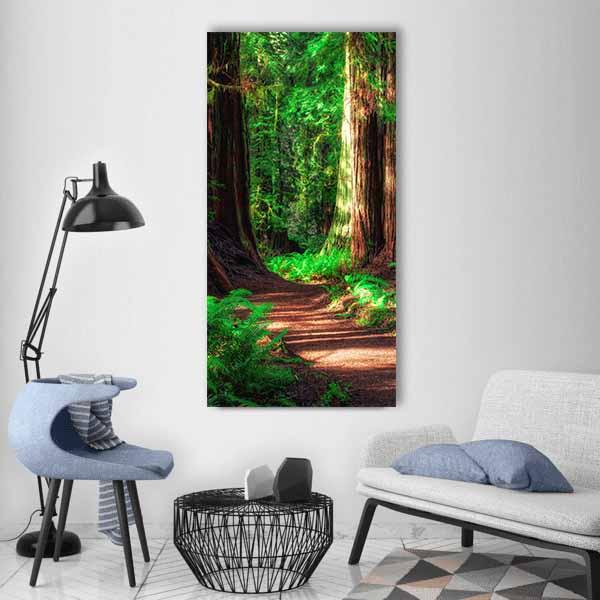Winding Path Among Redwoods Vertical Canvas Wall Art in brown and green, single vertical panel hung on a wall