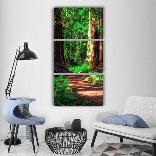 Scenic Path Through The Redwoods Forest Vertical Canvas Wall Art-3 Vertical-Gallery Wrap-12" x 25"-Tiaracle