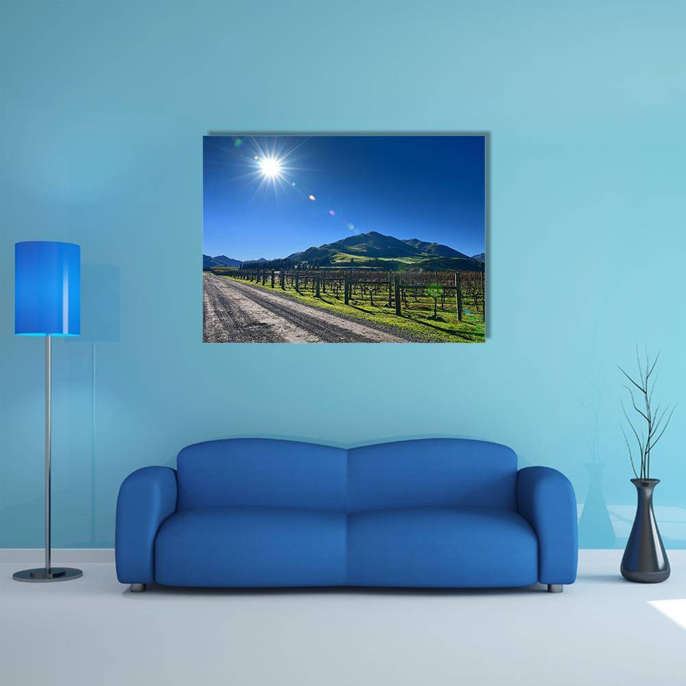 Scenic Vineyard In Canterbury Canvas Wall Art-5 Star-Gallery Wrap-62" x 32"-Tiaracle