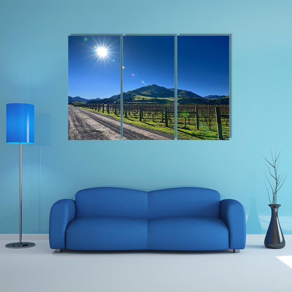Scenic Vineyard In Canterbury Canvas Wall Art-3 Horizontal-Gallery Wrap-37" x 24"-Tiaracle
