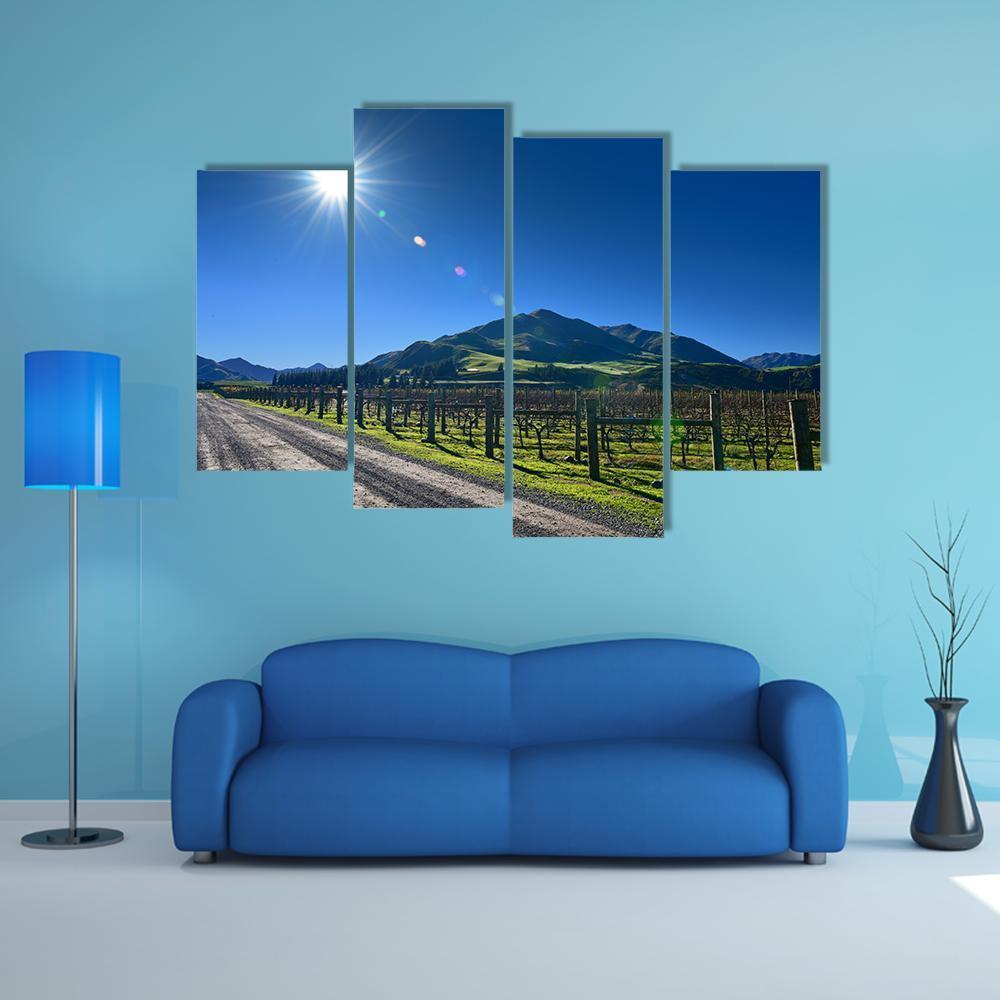 Scenic Vineyard In Canterbury Canvas Wall Art-4 Pop-Gallery Wrap-50" x 32"-Tiaracle