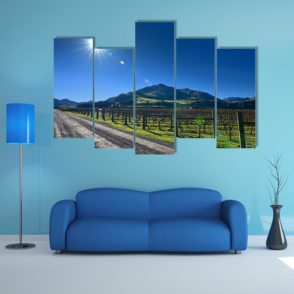 Scenic Vineyard In Canterbury Canvas Wall Art-5 Pop-Gallery Wrap-47" x 32"-Tiaracle