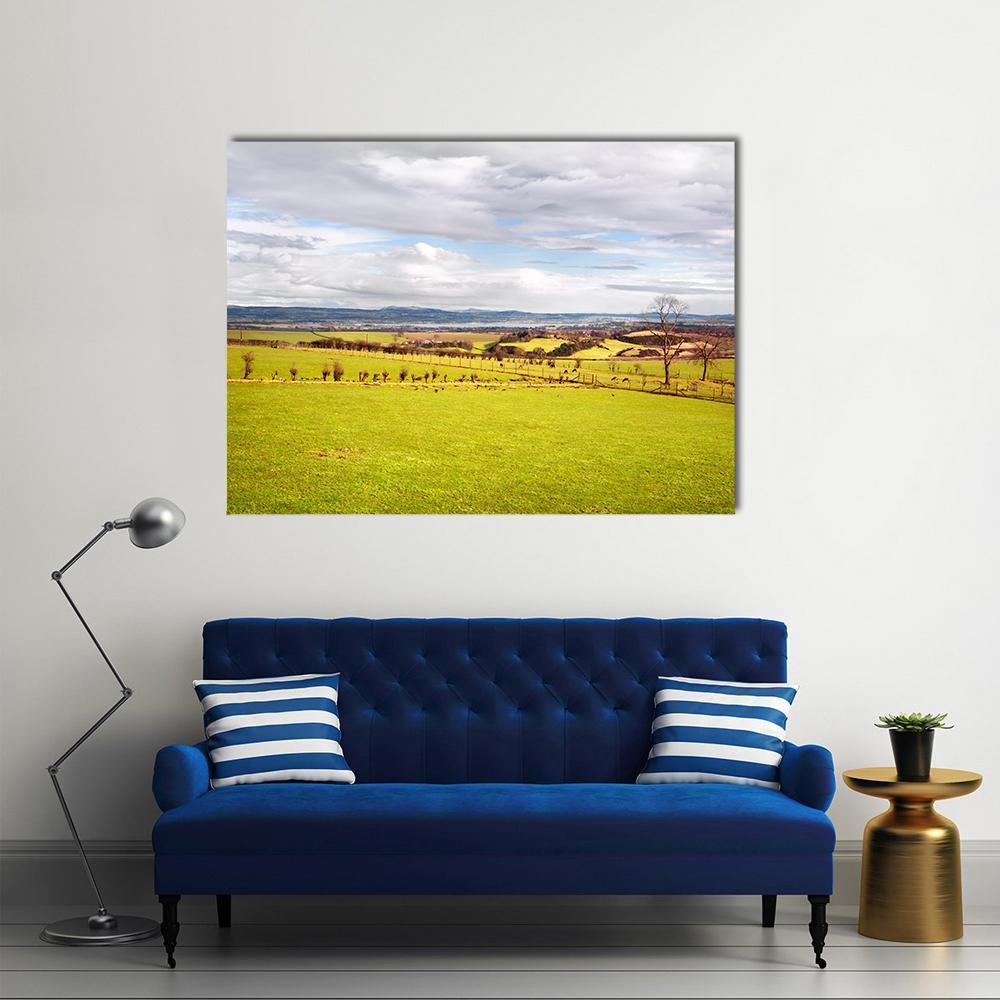 Scottish Countryside with Grazing Sheep Canvas Wall Art in gray, yellow and green, single panel hung on a wall