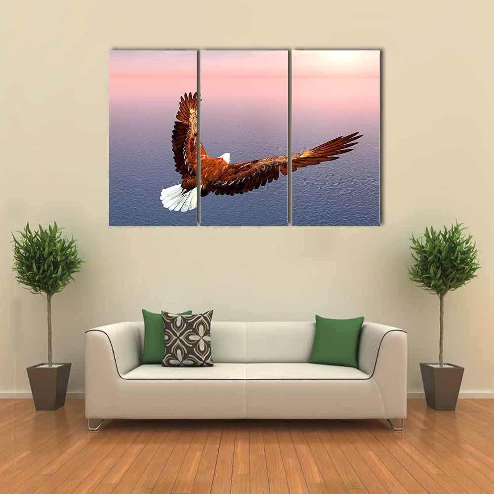 Sea Eagle Canvas Wall Art-3 Horizontal-Gallery Wrap-25" x 16"-Tiaracle