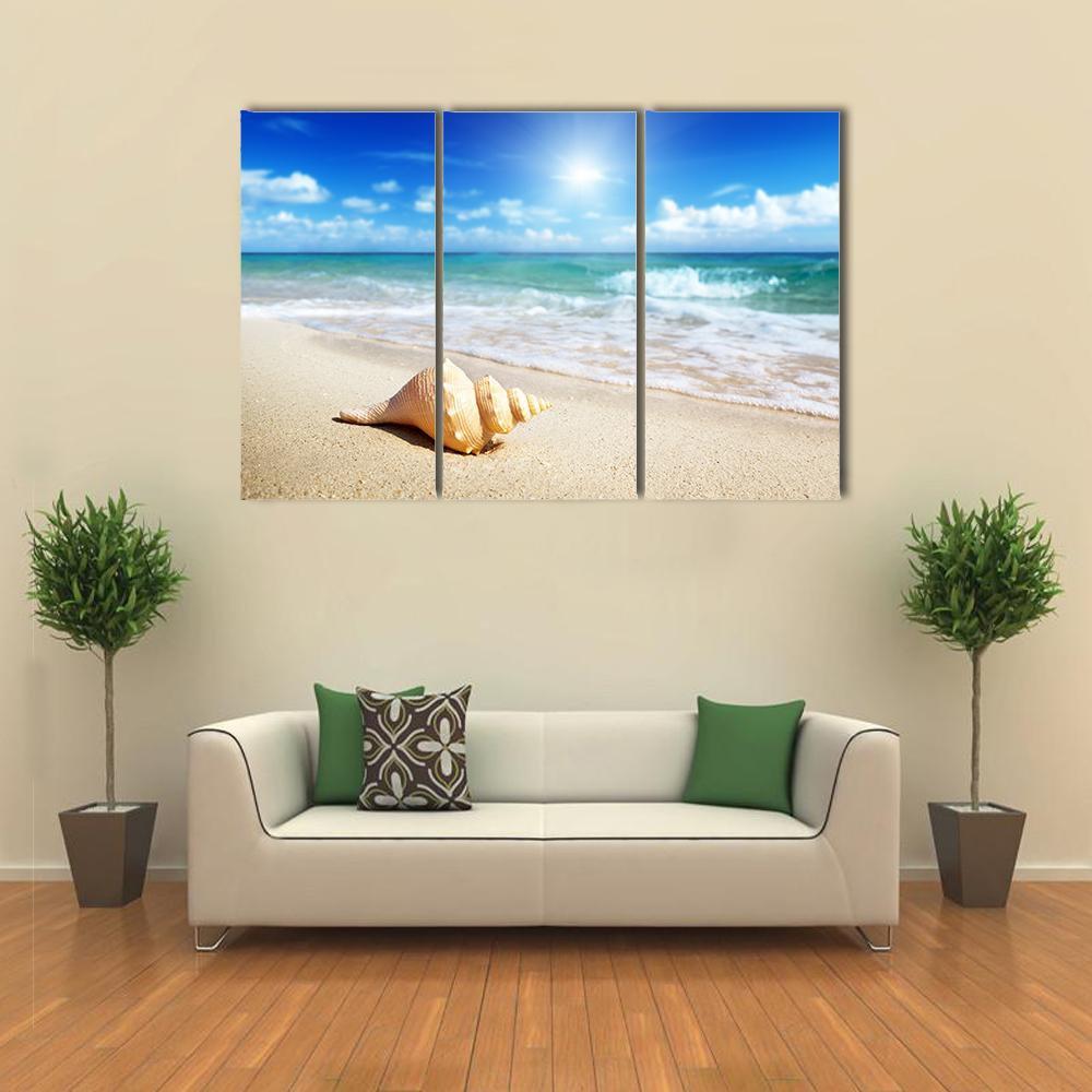 Seashell On The Beach Canvas Wall Art-3 Horizontal-Gallery Wrap-37" x 24"-Tiaracle