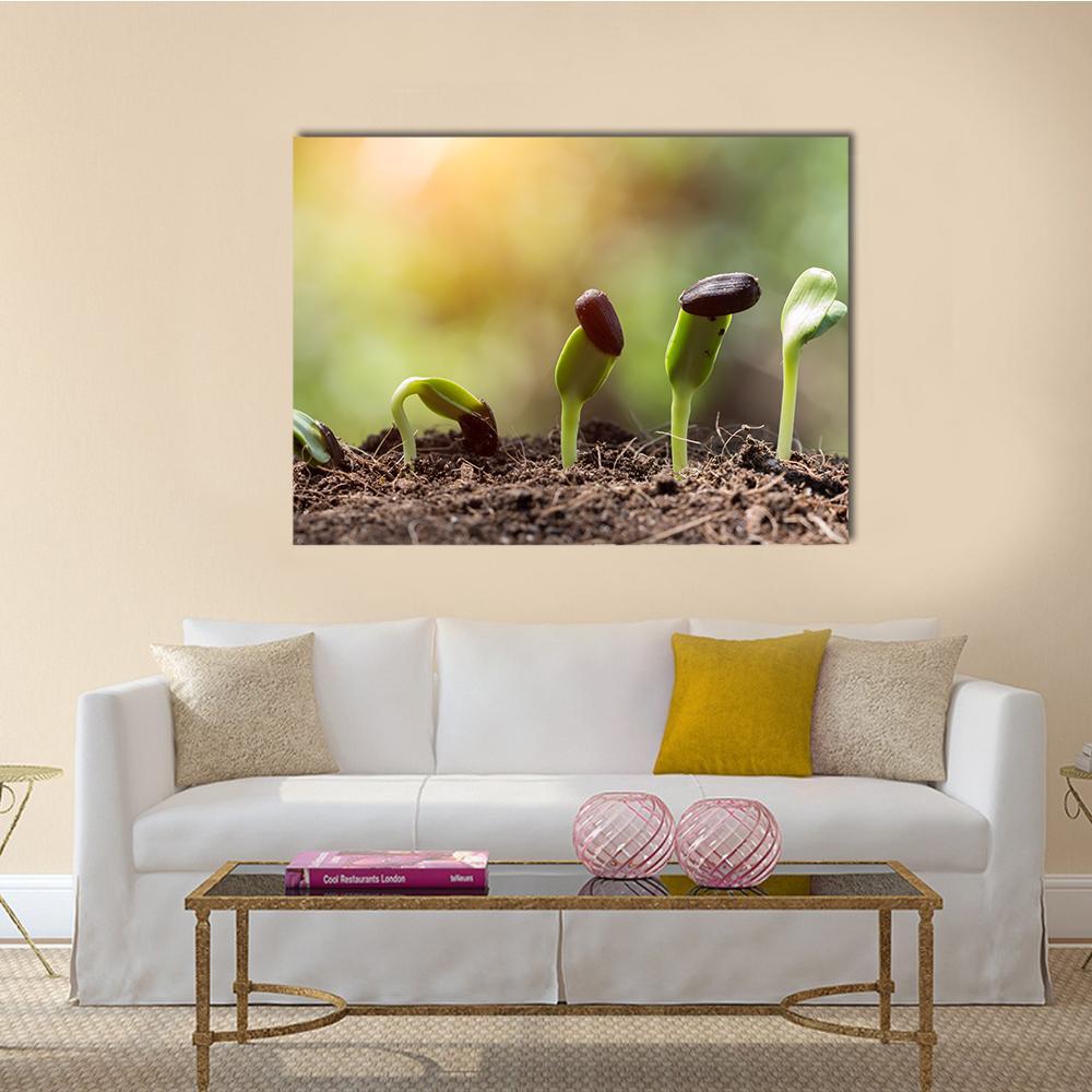 Seed Root On Soil With Sunbeam Canvas Wall Art-1 Piece-Gallery Wrap-48" x 32"-Tiaracle