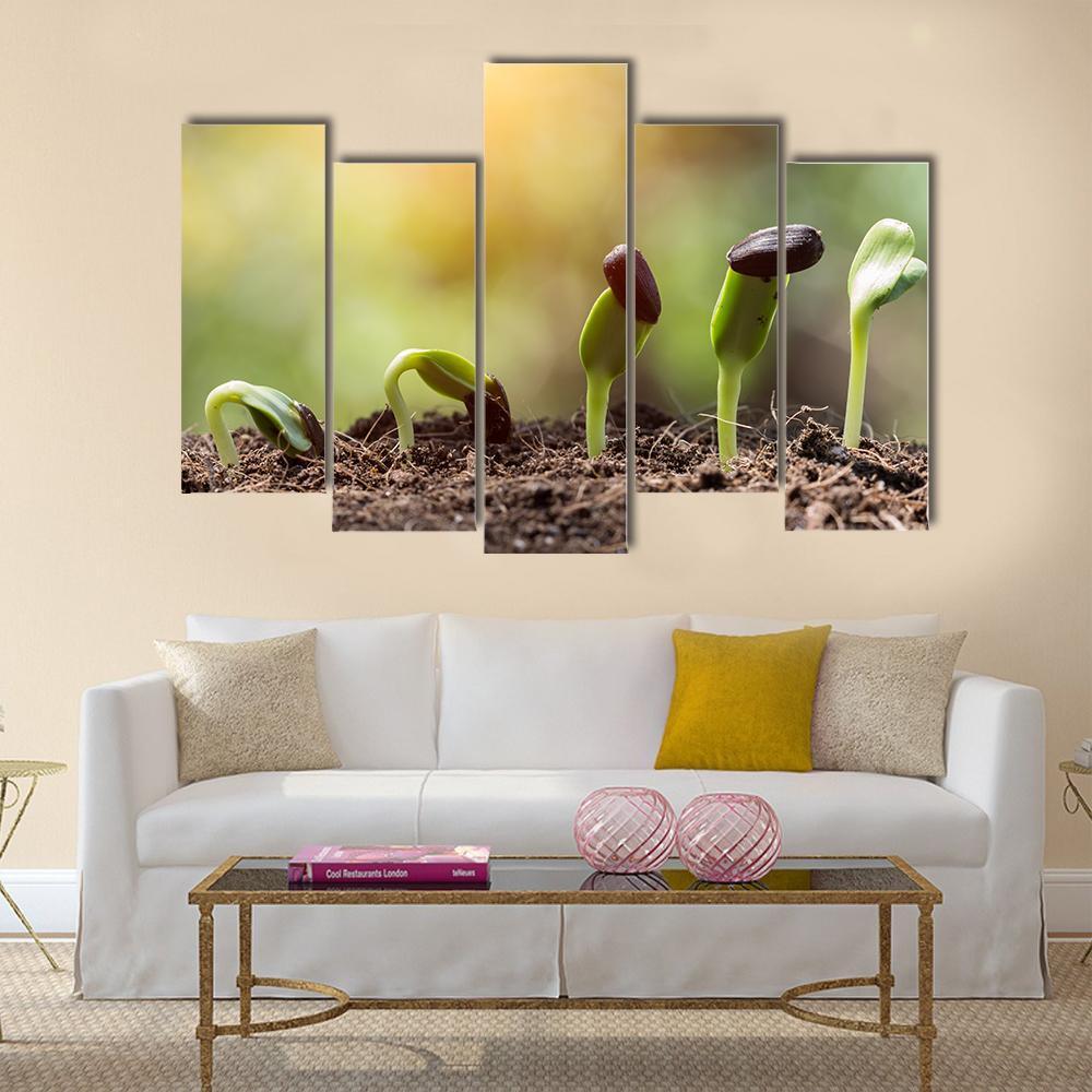 Seed Root On Soil With Sunbeam Canvas Wall Art-5 Pop-Gallery Wrap-47" x 32"-Tiaracle