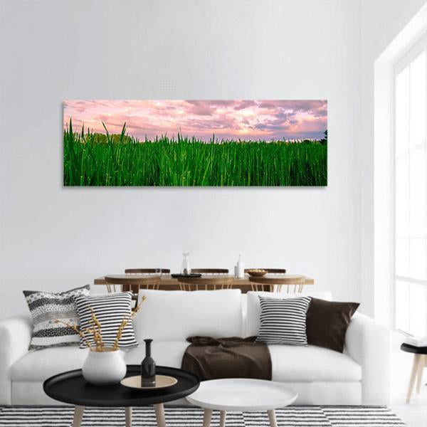 Segovia Fields Under Dawn Panoramic Canvas Wall Art-3 Piece-25" x 08"-Tiaracle