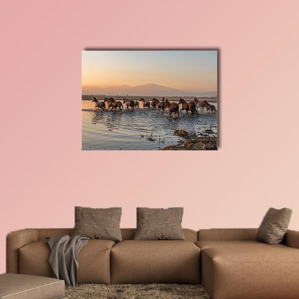 Sequenced Wild Horses Canvas Wall Art-1 Piece-Gallery Wrap-36" x 24"-Tiaracle