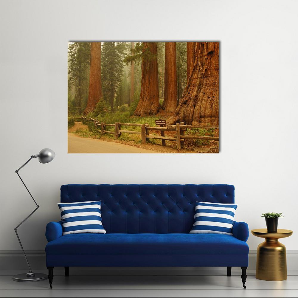 Sequioa Natianal Park In California Canvas Wall Art-1 Piece-Gallery Wrap-48" x 32"-Tiaracle