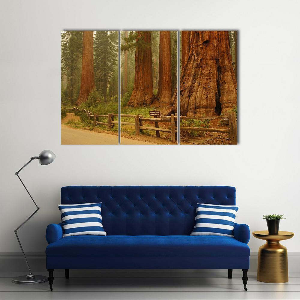 Sequioa Natianal Park In California Canvas Wall Art-5 Star-Gallery Wrap-62" x 32"-Tiaracle