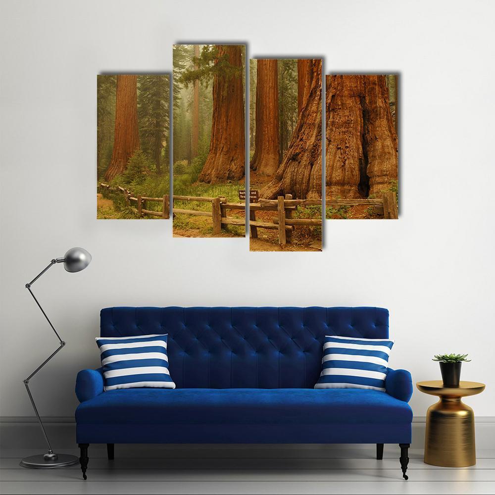 Sequioa Natianal Park In California Canvas Wall Art-4 Pop-Gallery Wrap-50" x 32"-Tiaracle