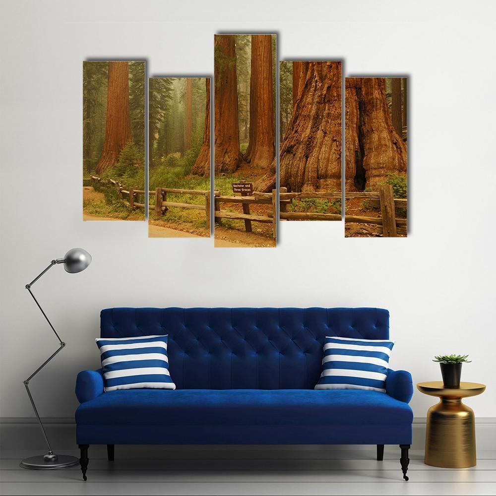 Sequioa Natianal Park In California Canvas Wall Art-5 Pop-Gallery Wrap-47" x 32"-Tiaracle