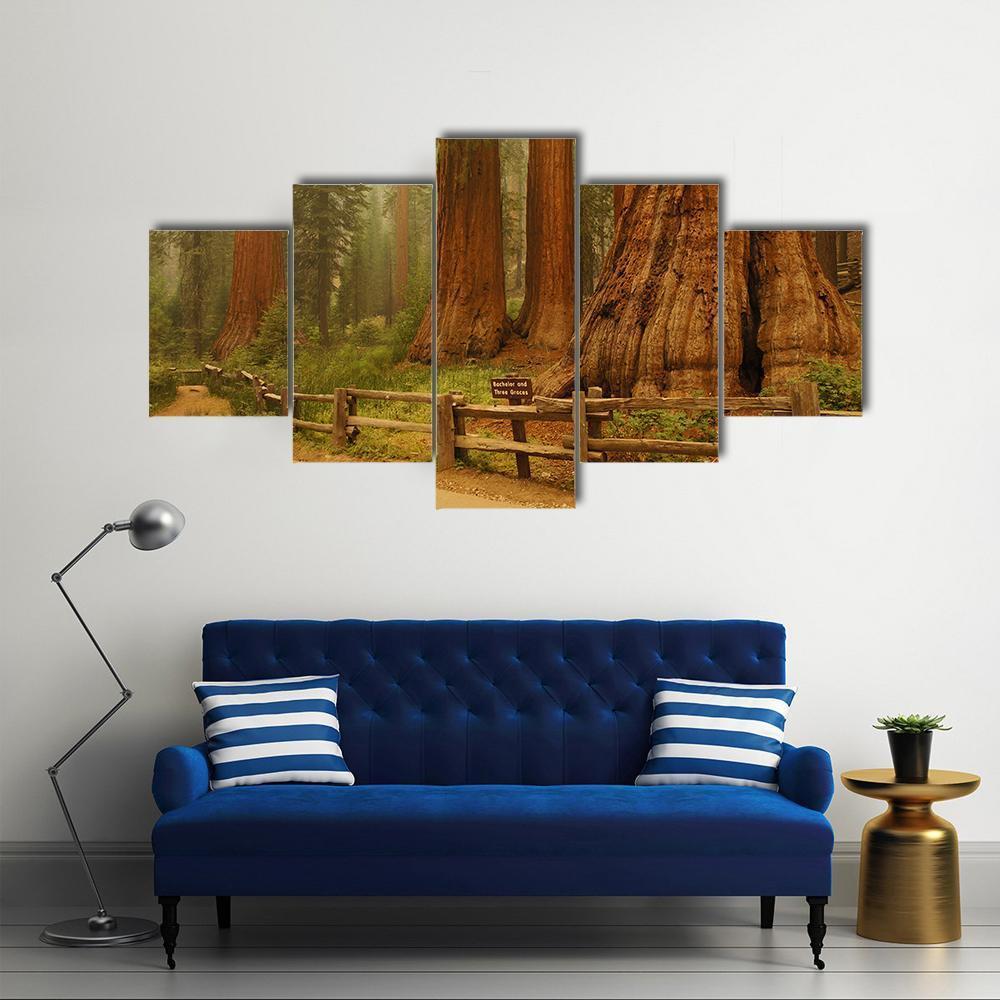 Sequioa Natianal Park In California Canvas Wall Art-5 Star-Gallery Wrap-62" x 32"-Tiaracle