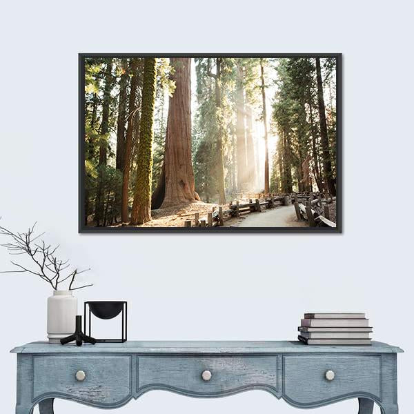 Sequoia Forest Path in Sequoia National Park Canvas Wall Art in white, brown and green, framed canvas, product view on a white background