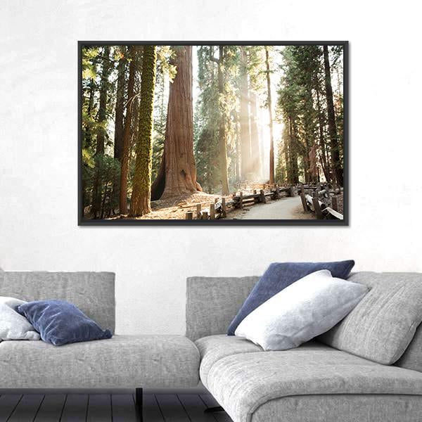 Sequoia National Park In California Canvas Wall Art-3 Horizontal-Gallery Wrap-25" x 16"-Tiaracle