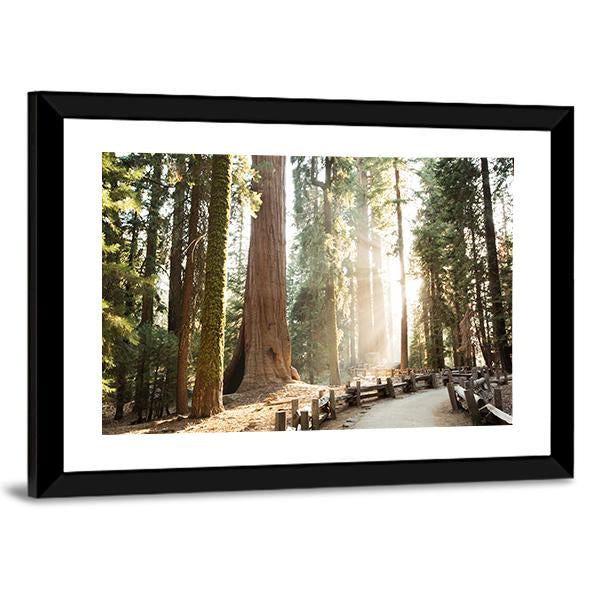 Sequoia National Park In California Canvas Wall Art-3 Horizontal-Gallery Wrap-25" x 16"-Tiaracle