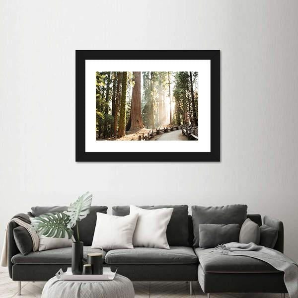 Sequoia National Park In California Canvas Wall Art-3 Horizontal-Gallery Wrap-25" x 16"-Tiaracle