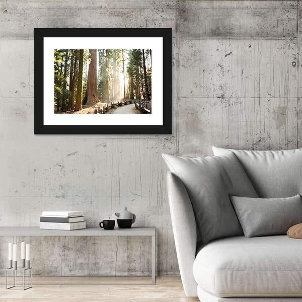 Sequoia National Park In California Canvas Wall Art-3 Horizontal-Gallery Wrap-25" x 16"-Tiaracle