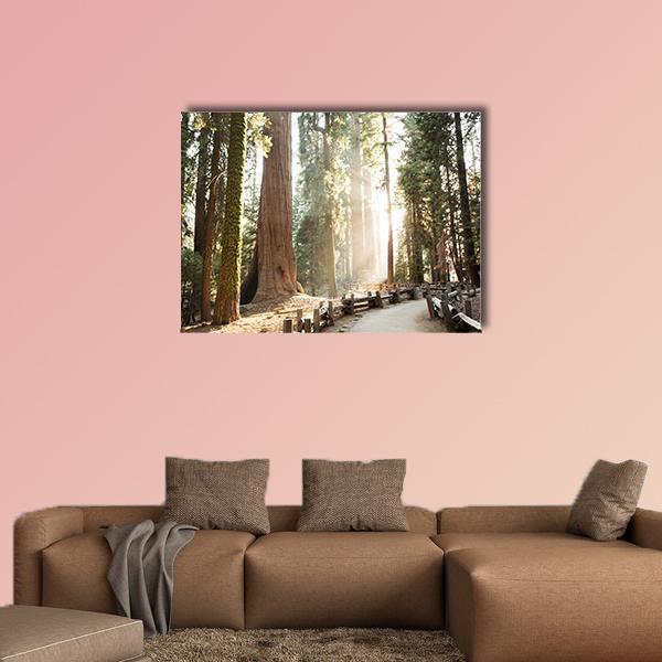 Sequoia Forest Path in Sequoia National Park Canvas Wall Art in white, brown and green, single panel hung on a wall