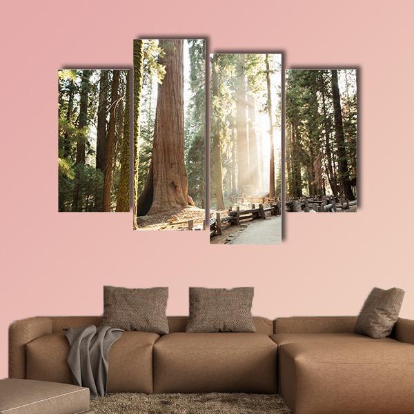 Sequoia National Park In California Canvas Wall Art-4 Pop-Gallery Wrap-50" x 32"-Tiaracle