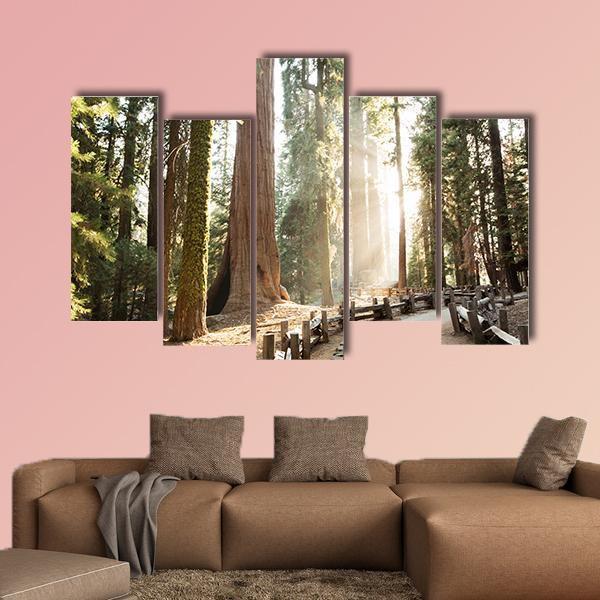 Sequoia National Park In California Canvas Wall Art-5 Pop-Gallery Wrap-47" x 32"-Tiaracle