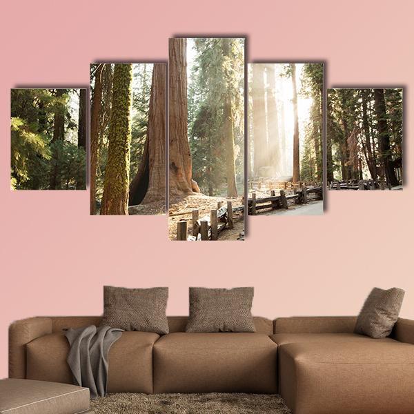 Sequoia National Park In California Canvas Wall Art-5 Star-Gallery Wrap-62" x 32"-Tiaracle