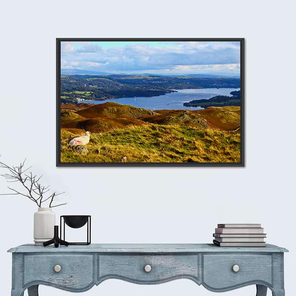 Sheep Overlooking Windermere Lake Canvas Wall Art-1 Piece-Floating Frame-24" x 16"-Tiaracle