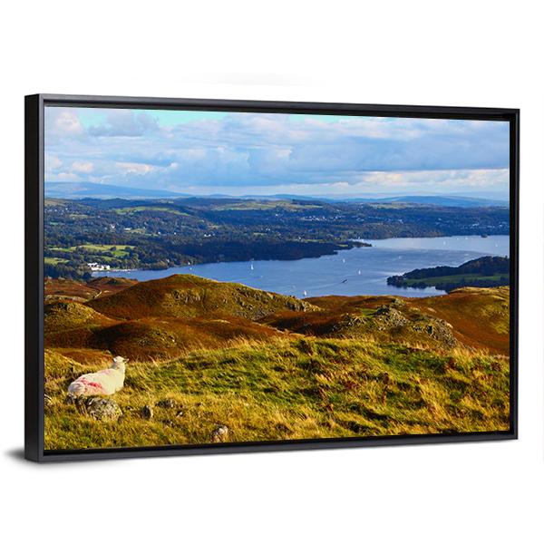 Sheep Overlooking Windermere Lake Canvas Wall Art-3 Horizontal-Gallery Wrap-25" x 16"-Tiaracle