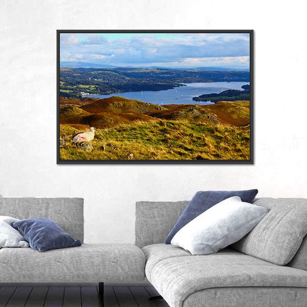 Sheep Overlooking Windermere Lake Canvas Wall Art-3 Horizontal-Gallery Wrap-25" x 16"-Tiaracle