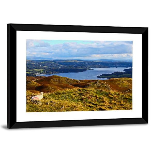 Sheep Overlooking Windermere Lake Canvas Wall Art-3 Horizontal-Gallery Wrap-25" x 16"-Tiaracle