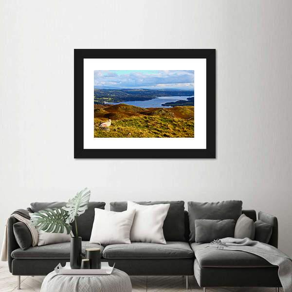 Sheep Overlooking Windermere Lake Canvas Wall Art-3 Horizontal-Gallery Wrap-25" x 16"-Tiaracle