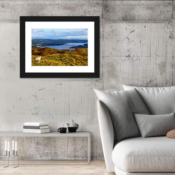 Sheep Overlooking Windermere Lake Canvas Wall Art-3 Horizontal-Gallery Wrap-25" x 16"-Tiaracle