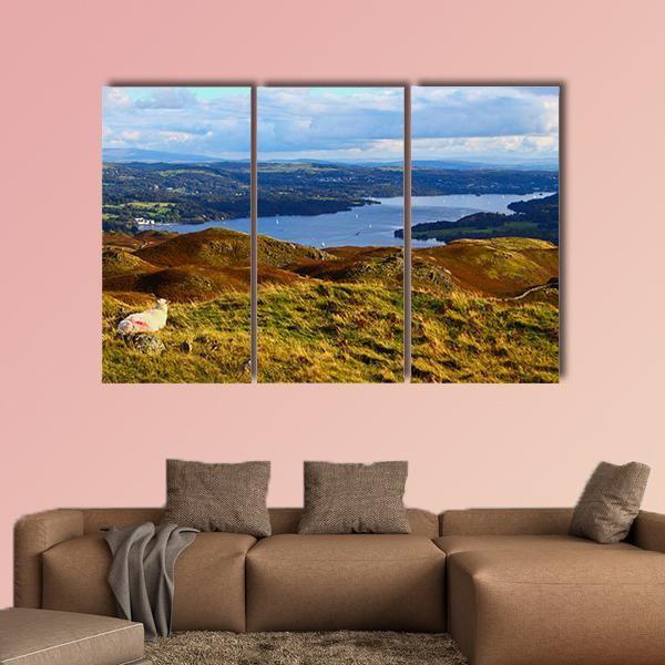 Sheep Overlooking Windermere Lake Canvas Wall Art-3 Horizontal-Gallery Wrap-37" x 24"-Tiaracle