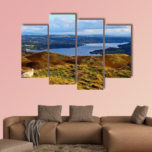 Sheep Overlooking Windermere Lake Canvas Wall Art-5 Star-Gallery Wrap-62" x 32"-Tiaracle