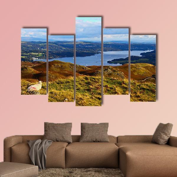 Sheep Overlooking Windermere Lake Canvas Wall Art-5 Pop-Gallery Wrap-47" x 32"-Tiaracle
