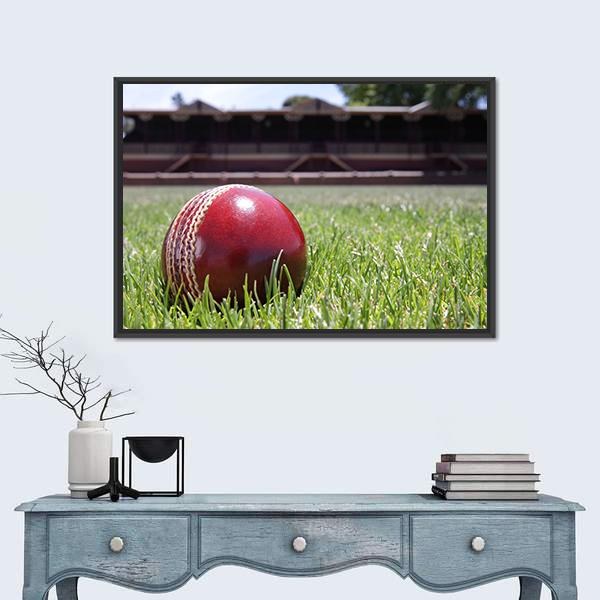 Shiny New Cricket Ball On Grass Canvas Wall Art-1 Piece-Floating Frame-24&quot; x 16&quot;-Tiaracle