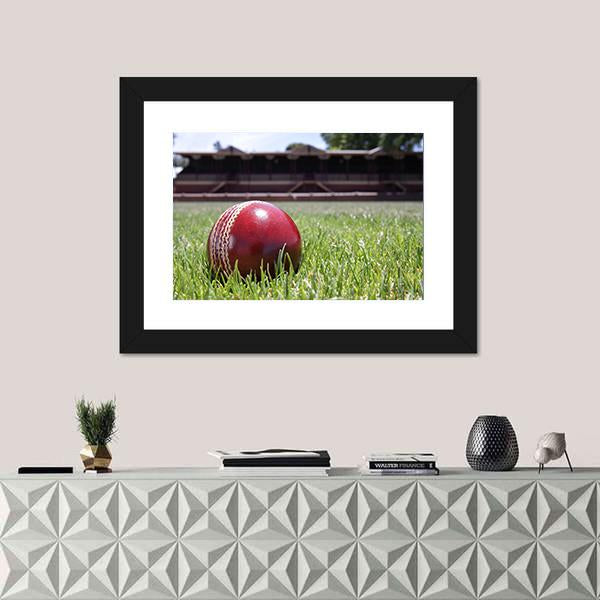 Shiny New Cricket Ball On Grass Canvas Wall Art-1 Piece-Framed Print-20&quot; x 16&quot;-Tiaracle