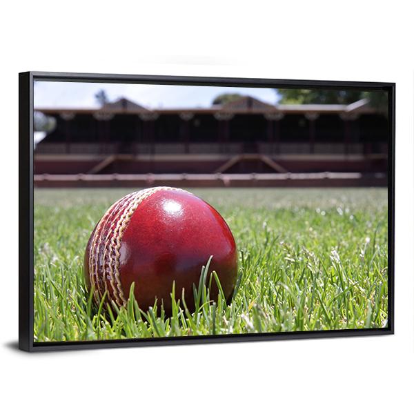 Shiny New Cricket Ball On Grass Canvas Wall Art-3 Horizontal-Gallery Wrap-25&quot; x 16&quot;-Tiaracle