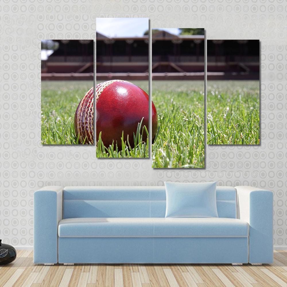Shiny New Cricket Ball On Grass Canvas Wall Art-4 Pop-Gallery Wrap-50&quot; x 32&quot;-Tiaracle