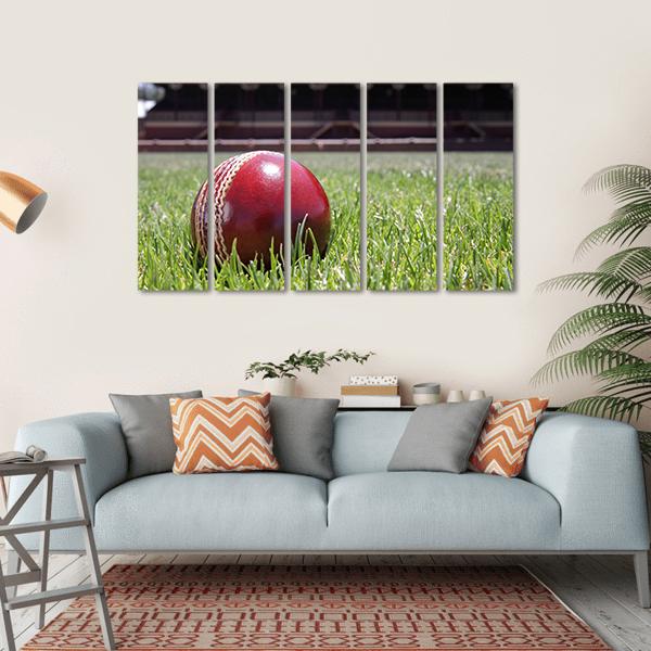 Shiny New Cricket Ball On Grass Canvas Wall Art-5 Horizontal-Gallery Wrap-22&quot; x 12&quot;-Tiaracle
