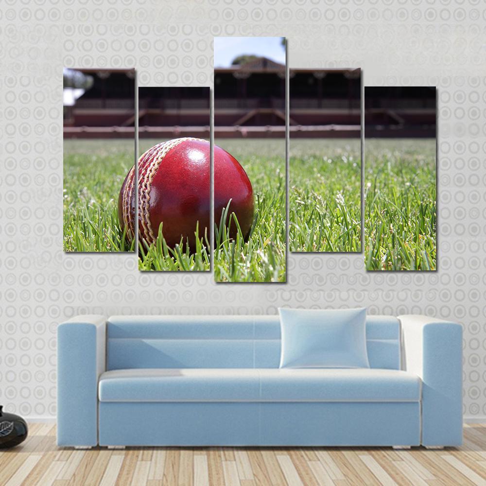 Shiny New Cricket Ball On Grass Canvas Wall Art-5 Pop-Gallery Wrap-47&quot; x 32&quot;-Tiaracle
