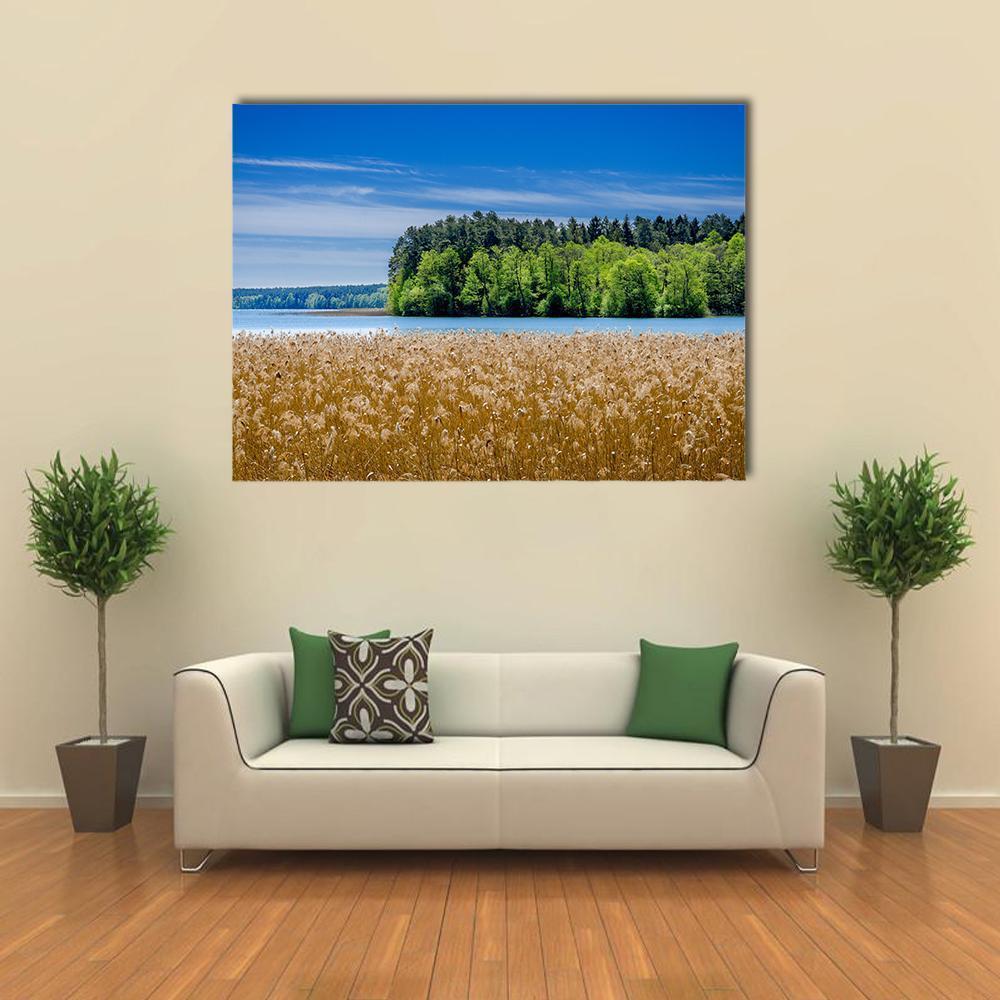 Shore of Pluszne Lake Canvas Wall Art in brown, green and blue, single panel hung on a wall