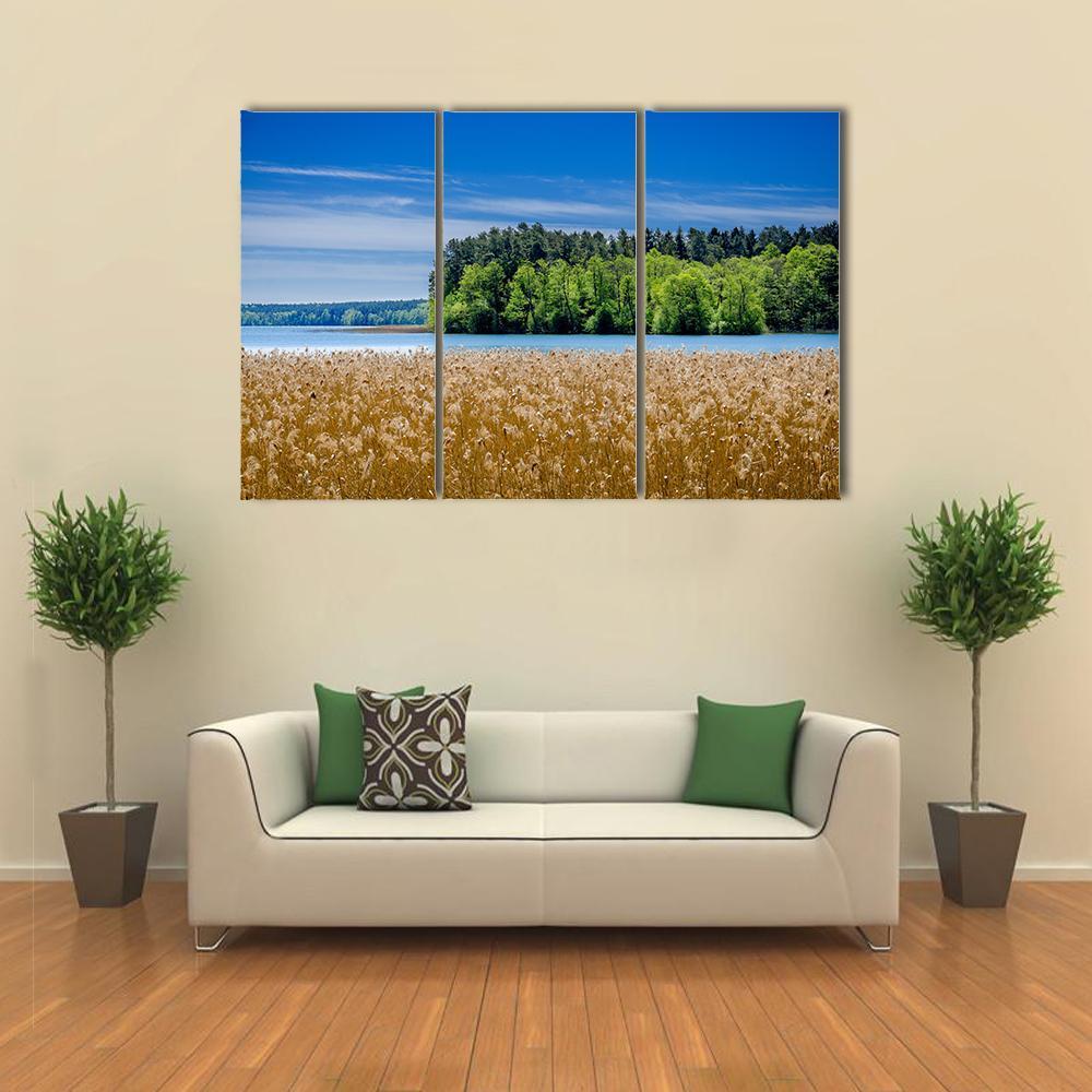 Shore Of The Pluszne Lake Canvas Wall Art-3 Horizontal-Gallery Wrap-37" x 24"-Tiaracle