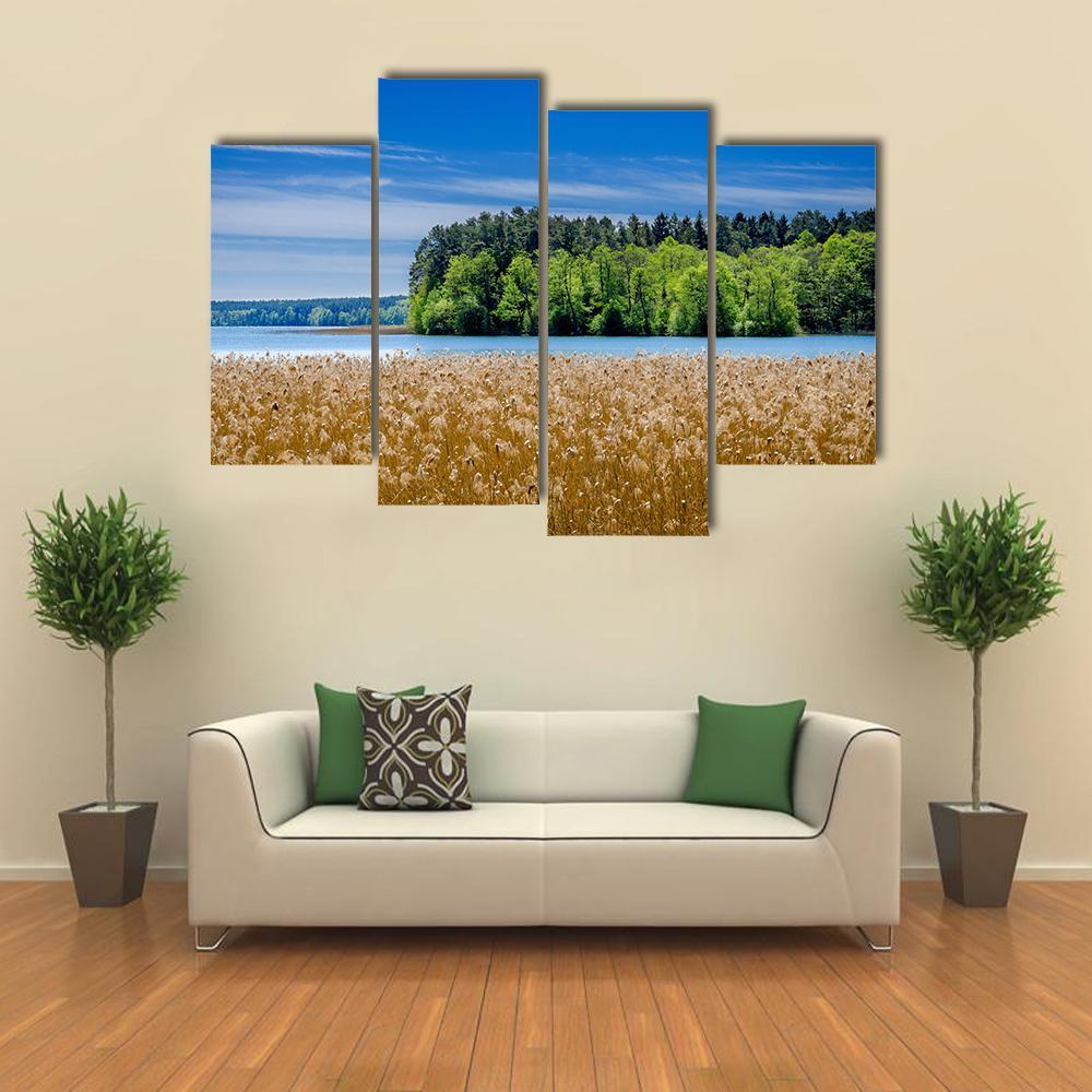 Shore Of The Pluszne Lake Canvas Wall Art-4 Pop-Gallery Wrap-50" x 32"-Tiaracle