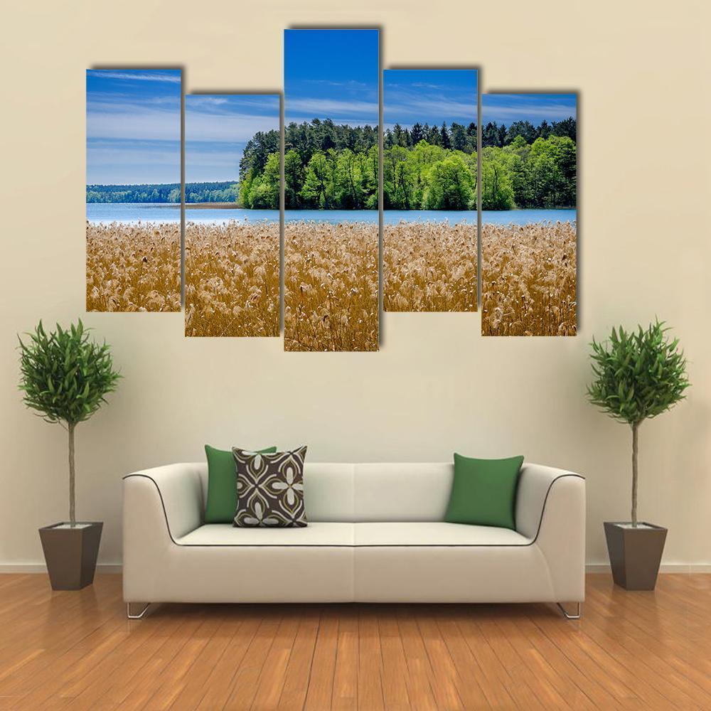 Shore Of The Pluszne Lake Canvas Wall Art-5 Pop-Gallery Wrap-47" x 32"-Tiaracle