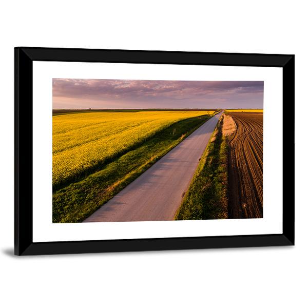 Shot Of Canola Rape Seed From Drone Canvas Wall Art-5 Horizontal-Gallery Wrap-22" x 12"-Tiaracle