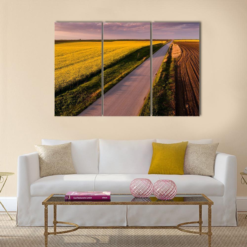 Shot Of Canola Rape Seed From Drone Canvas Wall Art-3 Horizontal-Gallery Wrap-37" x 24"-Tiaracle