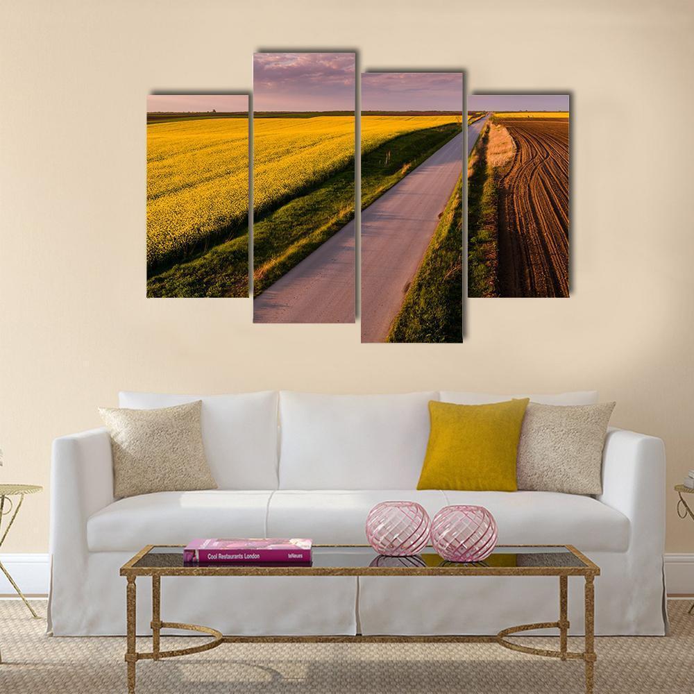 Shot Of Canola Rape Seed From Drone Canvas Wall Art-4 Pop-Gallery Wrap-50" x 32"-Tiaracle